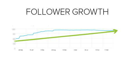 Ecommerce follower growth
