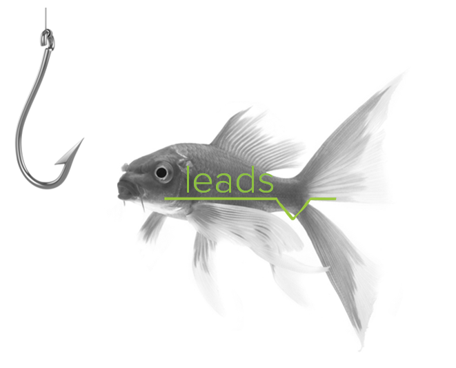 content hooks leads